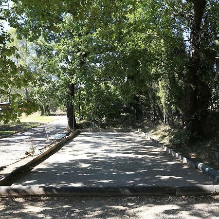 Le Mas Du Vieux Chene Saint-Paul-en-Forêt Esterno foto